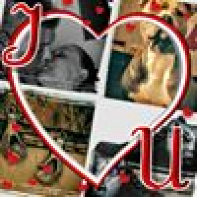 Peer is looking for ::/str_naun(Room / Studio / Apartment)::\ in Den Bosch
