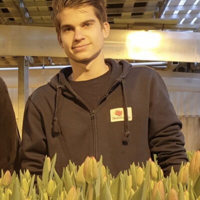 Ryan  zoekt een Kamer in Den Bosch