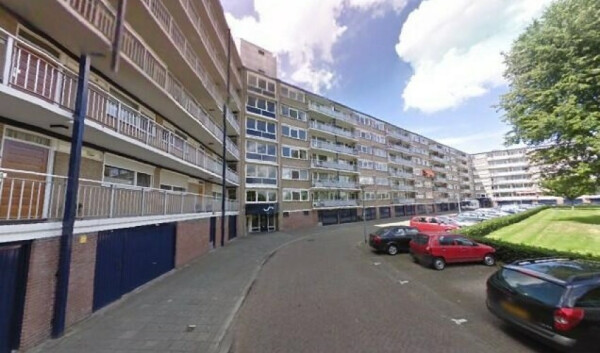 Kruiskampsingel
