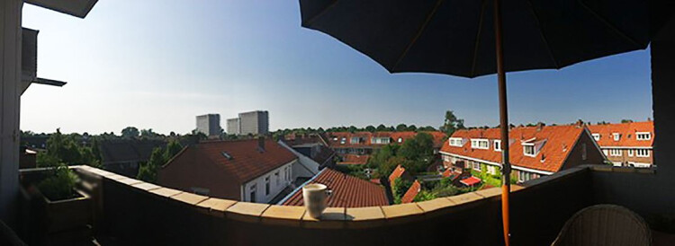 Panoramauitzicht over het centrum van Den Bosch aan de zuidzijde